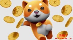什么是BabyDoge？在哪里购买BabyDoge币以及如何购买？