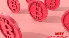 美国总统候选人小甘迺迪，替家中7个