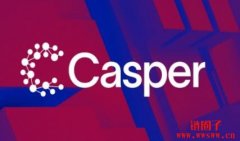 CSPR币是什么币种？未来如何？CSPR币未来价格分析预测