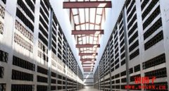 Bernstein报告：16家大型上市矿企占比特