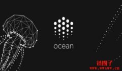 海洋协议(OCEAN)是什么?未来如何?OCEAN币是一项好的投资吗?