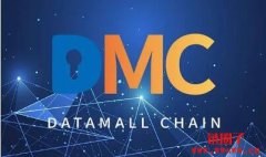 存储公链Datamall Chain启动主网，代币