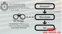 Sei空投指南|Sei空投常见问题