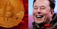 SpaceX惊传卖币爆恐慌？BTC闪跌、10亿美