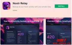 教你一键搭建自己的Nostr中继器(Relay)节点