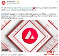 AVAX是什么币？AVAX币价格预测2023-2030年