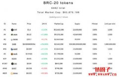 什么是BRC-20代币？BRC-20代币与ERC-20代币的区别