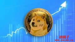 Doge币怎么挖矿获得？一文详解