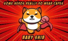 柴犬宝宝(BABYSHIB)是什么？BABYSHIB和柴