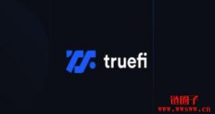 TRU是什么币?未来如何?TRU币未来价格预测2024-2030