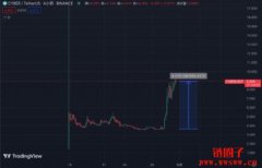 CYBER两天飙涨150%！Upbit持有33%流通量、造市商DWF操盘？