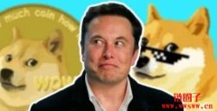 新传记摘要曝光！揭露：马斯克秘密