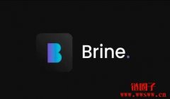 去中心化交易所Brine Fi完成1650万美元融资，Pantera Capital领投