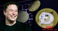 狗狗币在哪个交易所买？国内狗狗币