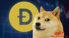 狗狗币的历史交易量和市值是多少？