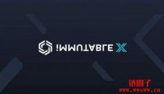 IMX是什么币？简单介绍