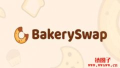 BAKE是什么币？值得投资吗？BAKE币未来