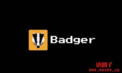 BADGER币是什么？未来如何？BADGER币价格走势分析和预测
