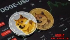 2021年狗狗币暴涨背后的原因分析