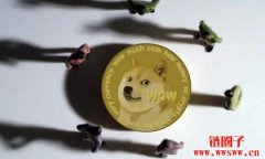 狗狗币未来达到100元的可能性和影响