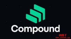 COMP币：去中心化金融协议Compound的治理代币