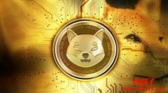 SHIB是什么币？SHIB币的发展历程和未来前景分析