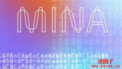 Mina币:一种基于Mina协议的轻量级加密货币