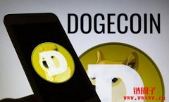 国内狗狗币交易平台的现状与展望
