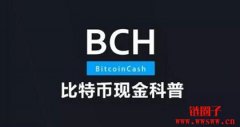 BCH是什么币种？简单介绍