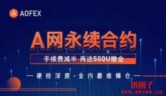 A网（AOFEX）是什么交易所？简单介绍