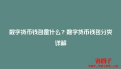 数字钱包是什么？数字钱包的类型和