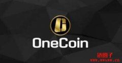 维卡币（Onecoin）投资的风险与机会