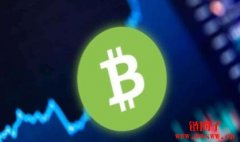 BCH币未来如何？2024-2030比特币现金(BCH)价格预测
