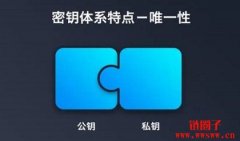 PubKey是什么意思？一文介绍PubKey的概念和用途