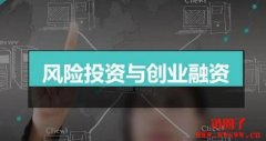 风投公司的合作方式与投资策略
