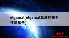 什么是ElGamal加密算法？一文了解ElGamal算法的工作原理