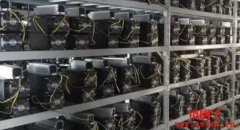 如何设置参数和使用鱼池挖矿？鱼池
