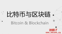 比特币使用的区块链属于什么类型？