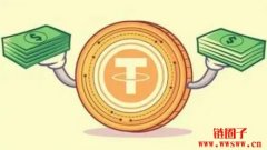 什么是USDT第三方支付接口？哪些公司