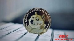 狗狗币一天挖多少个？一文了解狗狗币的挖矿难度和收益