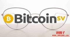 Bitcoin SV（BSV）历史价格分析_2023比特