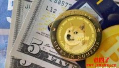 狗狗币的发行价和历年涨幅分析