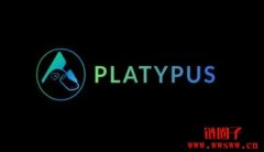 稳定币交易协议Platypus被盗超200万美元，已暂停所有资