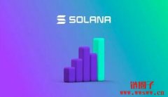 Solana验证者健康报告显示节点数量，