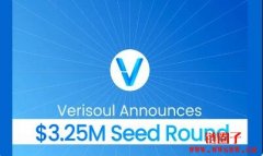 Verisoul 筹集325万美元帮助企业打击虚