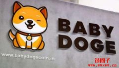 宝贝狗币是什么币种？宝贝狗币价格走势分析