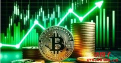 9158交易所是哪个国家的？交易量如何