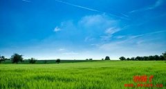 共生币(LVT)是什么币种?简单介绍