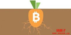 比特币Taproot软分叉是什么？Taproot的内