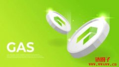 NEO GAS介绍丨GAS是什么币？GAS币价格走势及未来前景分析